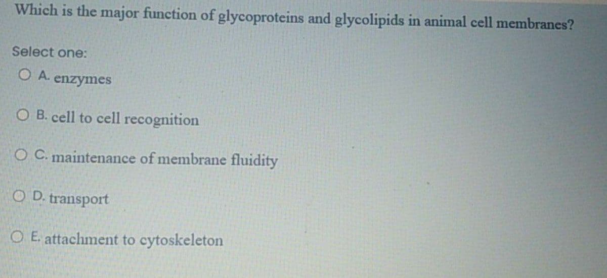 Which is the major function of glycoproteins and glycolipids in animal cell membranes?
Select one:
O A. enzymes
O B. cell to cell recognition
O C. maintenance of membrane fluidity
O D. transport
O E. attachment to cytoskeleton
