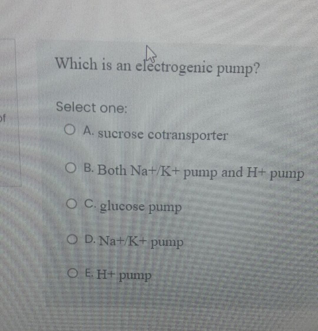 Which is an electrogenic pump?
Select one:
O A. sucrose cotransporter
O B. Both Na+/K+ pump and H+ pump
OC. glucose pump
O D.Nat/K+ pump
O E. H+ pump

