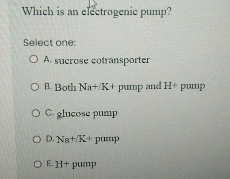 Which is an efectrogenic pump?
Select one:
O A. sucrose cotransporter
O B. Both Na+/K+ pump and H+ pump
O C. glucose pump
O D. Na+/K+ pump
O E. H+ pump
