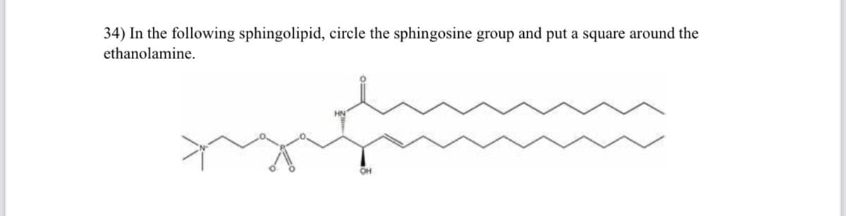 34) In the following sphingolipid, circle the sphingosine group and put a square around the
ethanolamine.
HN
OH