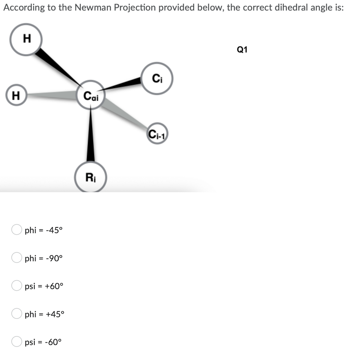 According to the Newman Projection provided below, the correct dihedral angle is:
H
Q1
Ci
Cai
C₁-1
H
phi = -45°
phi = -90°
psi = +60°
phi = +45°
psi = -60°
D
R₁