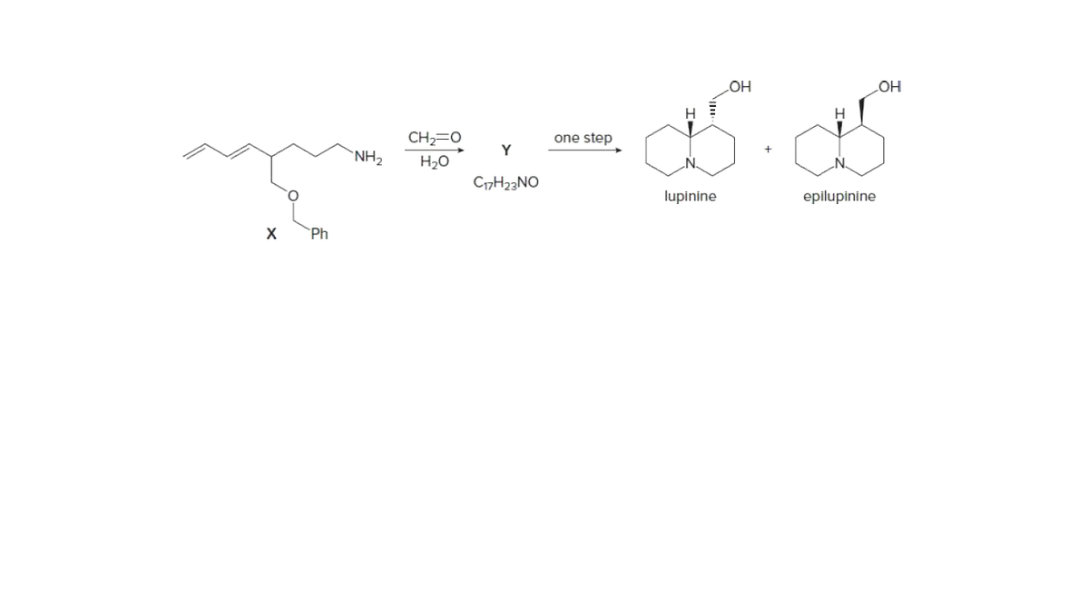 HO
HO
H.
CH2=0
one step
Y
`NH2
H20
C„H23NO
lupinine
epilupinine
X
Ph
