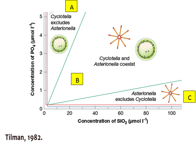 A
Cyclotella
excludes
5
Asterionella
Cyclotella and
Asterlonella coexlst
В
Asterionella
excludes Cyclotella
C
20
40
60
80
100
Concentration of SIO, (umol l)
Tilman, 1982.
4.
2.
Concentration of PO4 (umol I')
