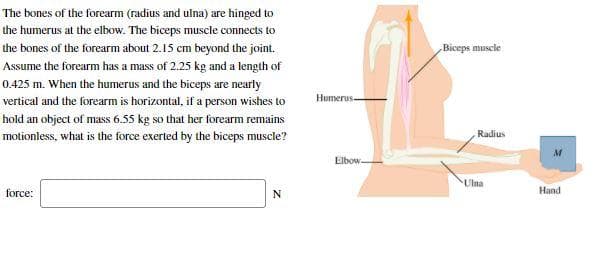 The bones of the forearm (radius and ulna) are hinged to
the humerus at the elbow. The biceps muscle connects to
the bones of the forearm about 2.15 cm beyond the joint.
Biceps muscle
Assume the forearm has a mass of 2.25 kg and a length of
0.425 m. When the humerus and the biceps are nearly
vertical and the forearm is horizontal, if a person wishes to
Humerus
hold an object of mass 6.55 kg so that her forearm remains
motionless, what is the force exerted by the biceps muscle?
Radius
Elbow.
Ulna
force:
N
Hand
