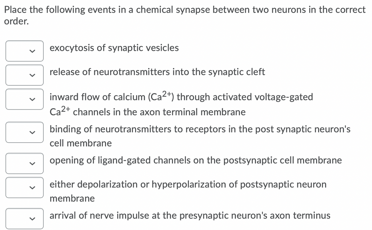 Place the following events in a chemical synapse between two neurons in the correct
order.
exocytosis of synaptic vesicles
release of neurotransmitters into the synaptic cleft
inward flow of calcium (Ca2+) through activated voltage-gated
Ca2+ channels in the axon terminal membrane
binding of neurotransmitters to receptors in the post synaptic neuron's
cell membrane
opening of ligand-gated channels on the postsynaptic cell membrane
either depolarization or hyperpolarization of postsynaptic neuron
membrane
arrival of nerve impulse at the presynaptic neuron's axon terminus
