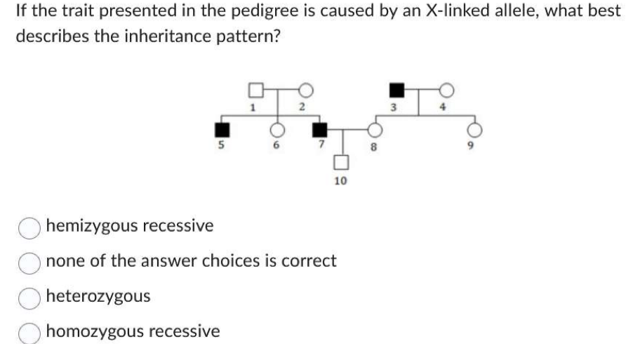 If the trait presented in the pedigree is caused by an X-linked allele, what best
describes the inheritance pattern?
5
1
heterozygous
homozygous recessive
2
10
hemizygous recessive
none of the answer choices is correct
8
3