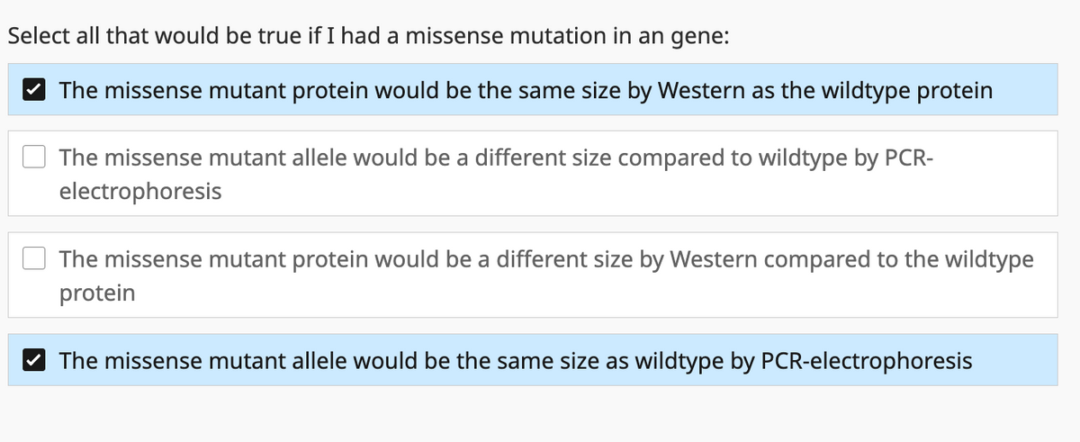 Select all that would be true if I had a missense mutation in an gene:
The missense mutant protein would be the same size by Western as the wildtype protein
The missense mutant allele would be a different size compared to wildtype by PCR-
electrophoresis
The missense mutant protein would be a different size by Western compared to the wildtype
protein
The missense mutant allele would be the same size as wildtype by PCR-electrophoresis