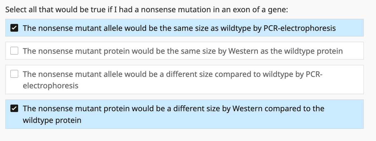 Select all that would be true if I had a nonsense mutation in an exon of a gene:
The nonsense mutant allele would be the same size as wildtype by PCR-electrophoresis
The nonsense mutant protein would be the same size by Western as the wildtype protein
The nonsense mutant allele would be a different size compared to wildtype by PCR-
electrophoresis
The nonsense mutant protein would be a different size by Western compared to the
wildtype protein