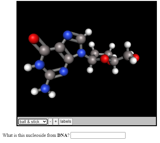 ball & stick
+ labels
What is this nucleoside from DNA?
