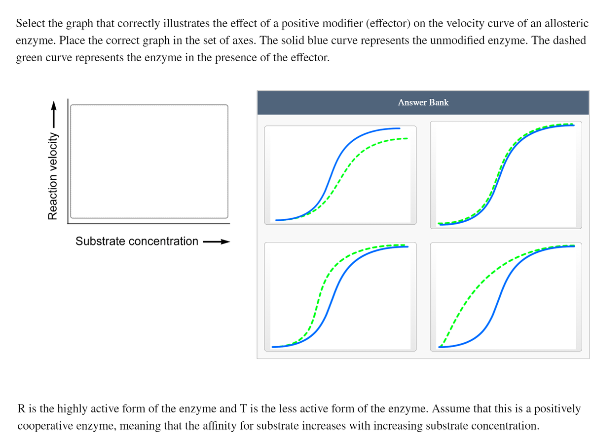 Select the graph that correctly illustrates the effect of a positive modifier (effector) on the velocity curve of an allosteric
enzyme. Place the correct graph in the set of axes. The solid blue curve represents the unmodified enzyme. The dashed
green curve represents the enzyme in the presence of the effector.
Answer Bank
Substrate concentration
R is the highly active form of the enzyme and T is the less active form of the enzyme. Assume that this is a positively
cooperative enzyme, meaning that the affinity for substrate increases with increasing substrate concentration.
Reaction velocity >
