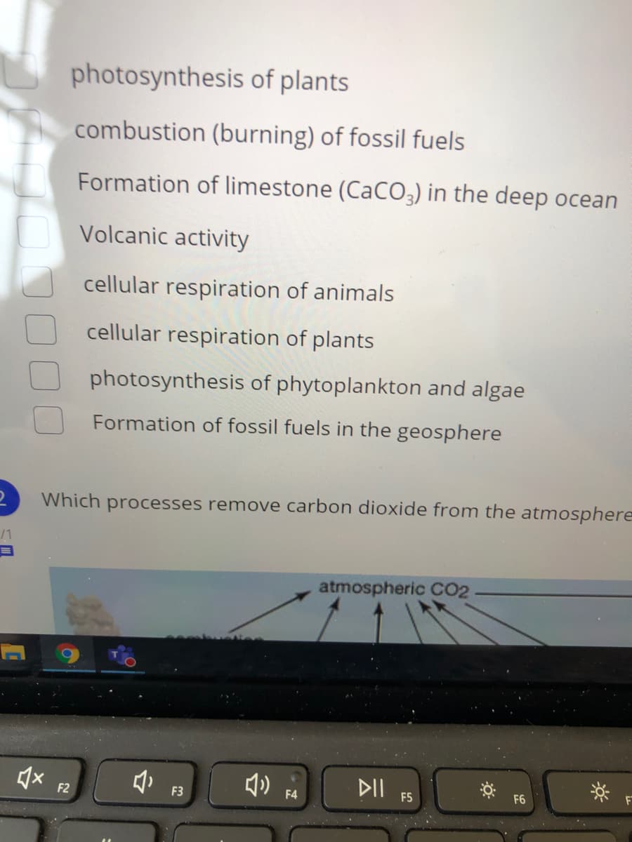 photosynthesis of plants
combustion (burning) of fossil fuels
Formation of limestone (CaCO3) in the deep ocean
Volcanic activity
cellular respiration of animals
cellular respiration of plants
photosynthesis of phytoplankton and algae
Formation of fossil fuels in the geosphere
Which processes remove carbon dioxide from the atmosphere
/1
atmospheric CO2
DIl FS
F2
F3
F4
F6
F
