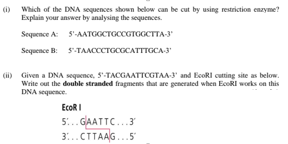 (i) Which of the DNA sequences shown below can be cut by using restriction enzyme?
Explain your answer by analysing the sequences.
Sequence A: 5'-AATGGCTGCCGTGGCTTA-3'
Sequence B: 5'-TAACCCTGCGCATTTGCA-3'
(ii) Given a DNA sequence, 5'-TACGAATTCGTAA-3' and EcoRI cutting site as below.
Write out the double stranded fragments that are generated when EcoRI works on this
DNA sequence.
EcoR I
5.. GAATTC...3'
3...CTTAAG...5'
