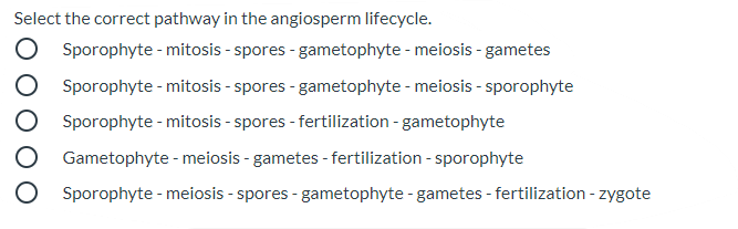 Select the correct pathway in the angiosperm lifecycle.
Sporophyte - mitosis - spores - gametophyte - meiosis - gametes
Sporophyte - mitosis - spores - gametophyte - meiosis - sporophyte
Sporophyte - mitosis - spores - fertilization - gametophyte
Gametophyte - meiosis - gametes - fertilization - sporophyte
Sporophyte - meiosis - spores - gametophyte - gametes - fertilization - zygote
