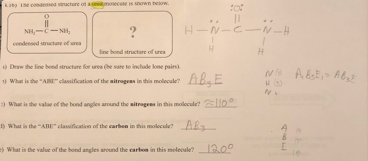 4.16) The condensed structure of a urea molecule is shown below.
NH–CNH,
condensed structure of urea
?
line bond structure of urea
a) Draw the line bond structure for urea (be sure to include lone pairs).
>) What is the "ABE" classification of the nitrogens in this molecule?
:0:
||
H-N-C-
H
A B ₂ E
:) What is the value of the bond angles around the nitrogens in this molecule? 0°
1) What is the "ABE" classification of the carbon in this molecule? A
AB3
e) What is the value of the bond angles around the carbon in this molecule?
1200
N-H
H
N (1)
H (3)
A₁ B3E₁ = AB3€
A (1)
HAD
(3)