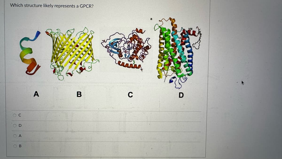 Which structure likely represents a GPCR?
OOO
OC
OD
O A
OB
A
revis
C
D