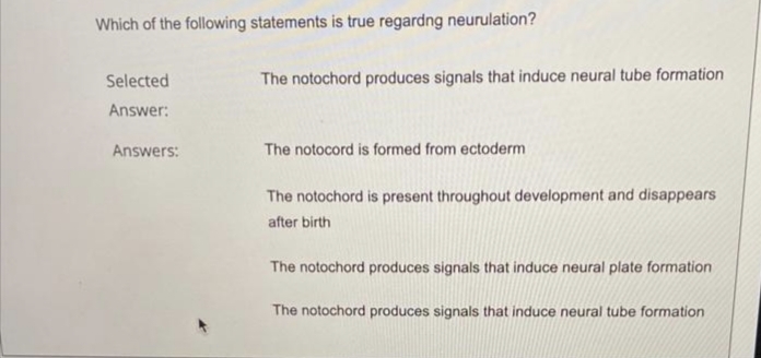 Which of the following statements is true regardng neurulation?
Selected
Answer:
Answers:
The notochord produces signals that induce neural tube formation
The notocord is formed from ectoderm
The notochord is present throughout development and disappears
after birth
The notochord produces signals that induce neural plate formation
The notochord produces signals that induce neural tube formation