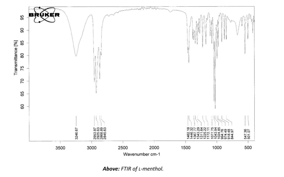 Above: FTIR of L-menthol.
3500
3000
2500
Wavenumber cm-1
2000
1500
1000
500
3246.67
2953.97
2925.63
2868.89
1462.18
1446.32
1172.11
1077.75
1043.94
545
994.76
974.49
918.48
844.97
547 36
501.07
60 65
Transmittance [%]
70 75 80 85
90 95
BRUKER