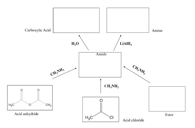 H₂C
Carboxylic Acid
Acid anhydride
CHÍNH,
CH₂
H₂O
H3C
Amide
CHÍNH,
LIAIH,
CHÍNH,
Acid chloride
Amine
Ester