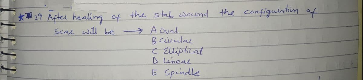 *29 After healing of
the configulation of
to
stab wound the
Scal will be -> A Oval
Bciculal
c Elliptical
D lineal
E Speindle
