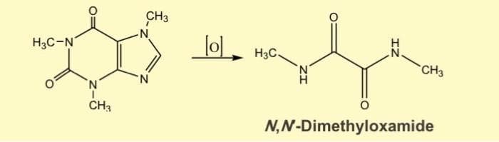 H3C-N
'N
CH3
CH3
N
N
lol H3C
Hofer
CH3
N,N-Dimethyloxamide