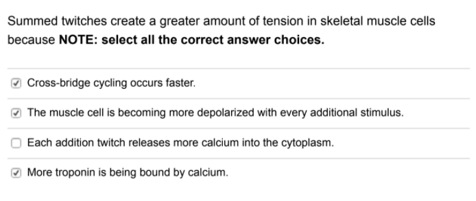 Summed twitches create a greater amount of tension in skeletal muscle cells
because NOTE: select all the correct answer choices.
Cross-bridge cycling occurs faster.
The muscle cell is becoming more depolarized with every additional stimulus.
Each addition twitch releases more calcium into the cytoplasm.
More troponin is being bound by calcium.
