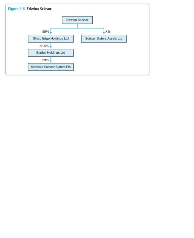 Figure 1.6 Edwina Scissor
Edwina Scissor
58%
Sharp Edge Holdings Ltd
50.5%
Blades Holdings Ltd
29%
Sheffield Scissor Sisters Plc
X%
Scissor Sisters Assets Ltd