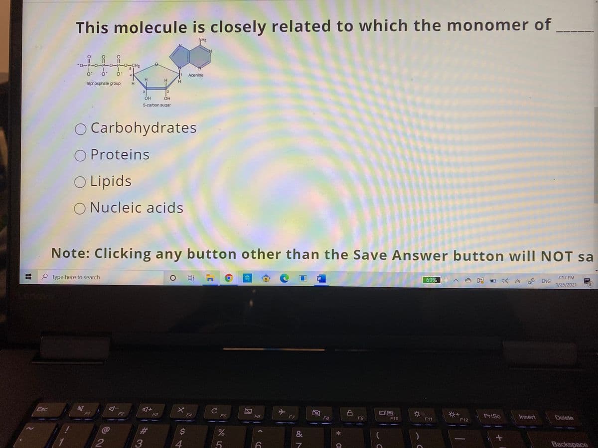 This molecule is closely related to which the monomer of
NH2
II
II
-0-P-0-P-0-P-0-CH2
Adenine
H
H
Triphosphate group
OH
ÓH
5-carbon sugar
O Carbohydrates
O Proteins
O Lipids
O Nucleic acids
Note: Clicking any button other than the Save Answer button wilI NOT sa
7:17 PM
69%
1 4) ( P ENG
W
O Type here to search
口 A
1/25/2021
미므
C
F5
PrtSc
Insert
Delete
Esc
F1
F2
F3
F4
F6
F7
F8
F9
F10
F11
F12
$4
&
Backspace
1.
2
3
4.
