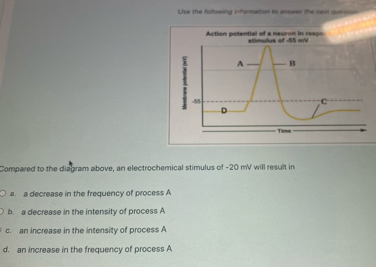 a.
a decrease in the frequency of process A
O b. a decrease in the intensity of process A
an increase in the intensity of process A
d. an increase in the frequency of process A
Use the following information to answer the next question
O c.
Membrane potential (mv)
-55
Action potential of a neuron in respo
stimulus of -55 mV
D
A
B
Compared to the diagram above, an electrochemical stimulus of -20 mV will result in
Time