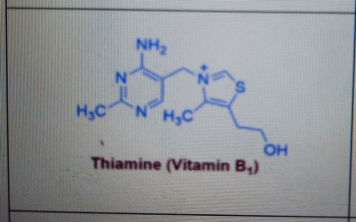 NH2
S.
HyC
H,C
O.
Thiamine (Vitamin B,)
