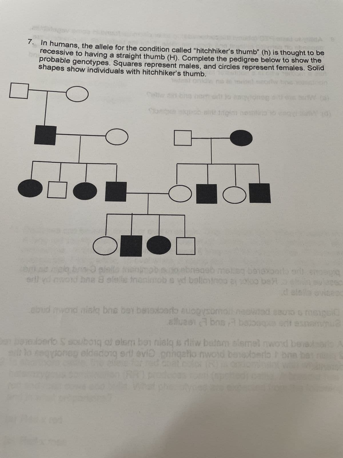 7. In humans, the allele for the condition called "hitchhiker's thumb" (h) is thought to be
recessive to having a straight thumb (H). Complete the pedigree below to show the
probable genotypes. Squares represent males, and circles represent females. Solid
shapes show individuals with hitchhiker's thumb.
Tetest on
O
Telw 21
Obe
Spagx
elift
to asqyloneg
nembling
O
N
be nick brs O siello frienimob do ebrisasb molaq belexperlo ar emosią
yd
erl) vd word bna 8 stella tranimob syd ballostno aj otoo belo otin sylace:
delslls evideod
abud mwond aislą bns ben beoxboro suppysomorneowiad cauro s mengsi
bo
allueen a bnsa belbsque ont esnammu?
en beteaberto S souborg of elem ben nialq s riw batam sismel word bensbero A
t
sill to sequioneg eldsdong srit evi pnhqalio nword benexperlo bria bas ng s
ellene for red.coalcool (