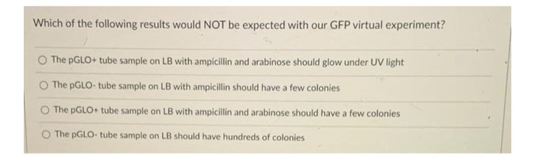 Which of the following results would NOT be expected with our GFP virtual experiment?
O The PGLO+ tube sample on LB with ampicillin and arabinose should glow under UV light
O The PGLO- tube sample on LB with ampicillin should have a few colonies
O The pGLO+ tube sample on LB with ampicillin and arabinose should have a few colonies
O The PGLO- tube sample on LB should have hundreds of colonies
