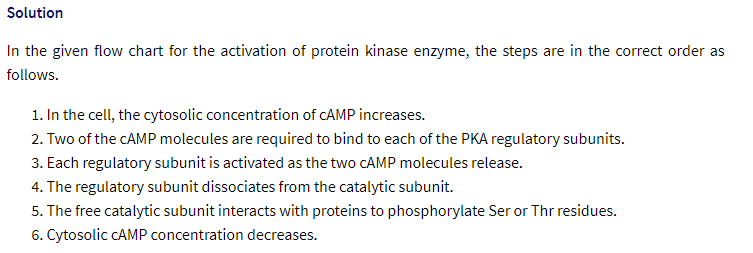 Solution
In the given flow chart for the activation of protein kinase enzyme, the steps are in the correct order as
follows.
1. In the cell, the cytosolic concentration of CAMP increases.
2. Two of the CAMP molecules are required to bind to each of the PKA regulatory subunits.
3. Each regulatory subunit is activated as the two CAMP molecules release.
4. The regulatory subunit dissociates from the catalytic subunit.
5. The free catalytic subunit interacts with proteins to phosphorylate Ser or Thr residues.
6. Cytosolic CAMP concentration decreases.