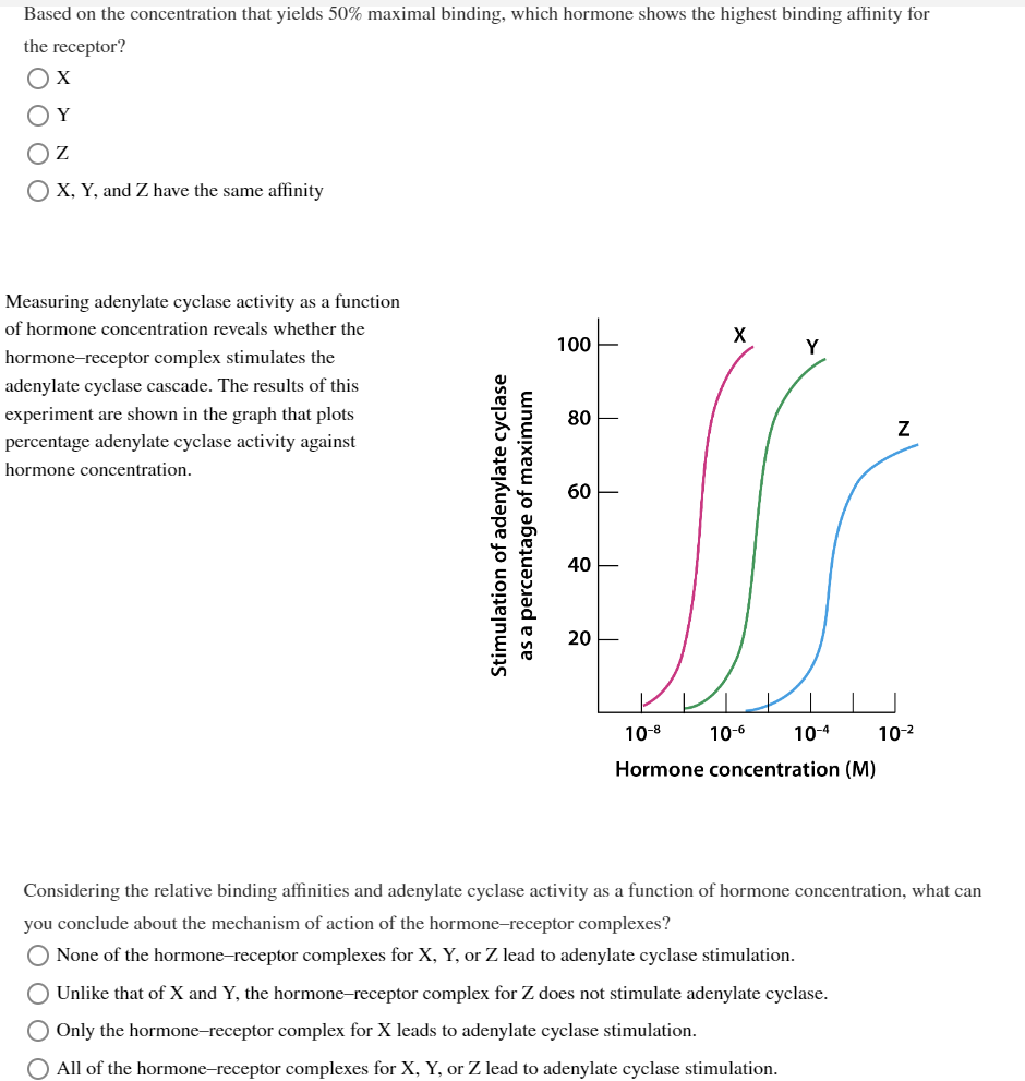 Based on the concentration that yields 50% maximal binding, which hormone shows the highest binding affinity for
the receptor?
OX
ΟΥ
ΟΖ
O X, Y, and Z have the same affinity
Measuring adenylate cyclase activity as a function
of hormone concentration reveals whether the
hormone-receptor complex stimulates the
adenylate cyclase cascade. The results of this
experiment are shown in the graph that plots
percentage adenylate cyclase activity against
hormone concentration.
Stimulation of adenylate cyclase
as a percentage of maximum
100
80
60
40
20
X
10-6
Y
10-8
Hormone concentration (M)
10-4
Z
○ Unlike that of X and Y, the hormone-receptor complex for Z does not stimulate adenylate cyclase.
O Only the hormone-receptor complex for X leads to adenylate cyclase stimulation.
O All of the hormone-receptor complexes for X, Y, or Z lead to adenylate cyclase stimulation.
10-²
Considering the relative binding affinities and adenylate cyclase activity as a function of hormone concentration, what can
you conclude about the mechanism of action of the hormone-receptor complexes?
O None of the hormone-receptor complexes for X, Y, or Z lead to adenylate cyclase stimulation.