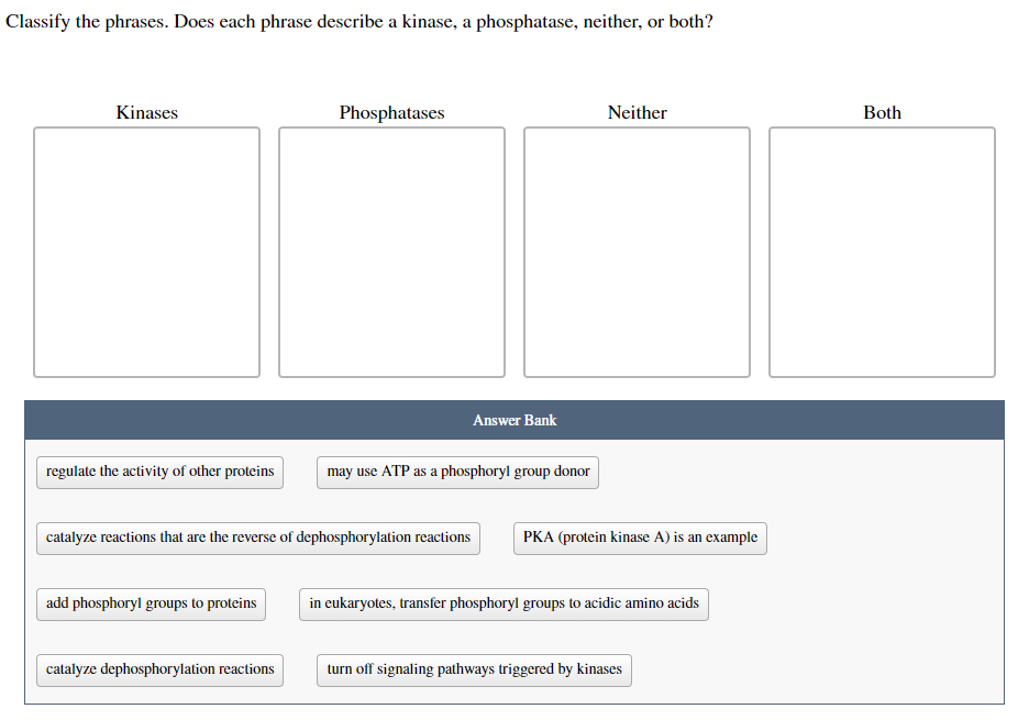 Classify the phrases. Does each phrase describe a kinase, a phosphatase, neither, or both?
Kinases
regulate the activity of other proteins
add phosphoryl groups to proteins
Phosphatases
catalyze dephosphorylation reactions
Answer Bank
catalyze reactions that are the reverse of dephosphorylation reactions
may use ATP as a phosphoryl group donor
Neither
PKA (protein kinase A) is an example
in eukaryotes, transfer phosphoryl groups to acidic amino acids
turn off signaling pathways triggered by kinases
Both