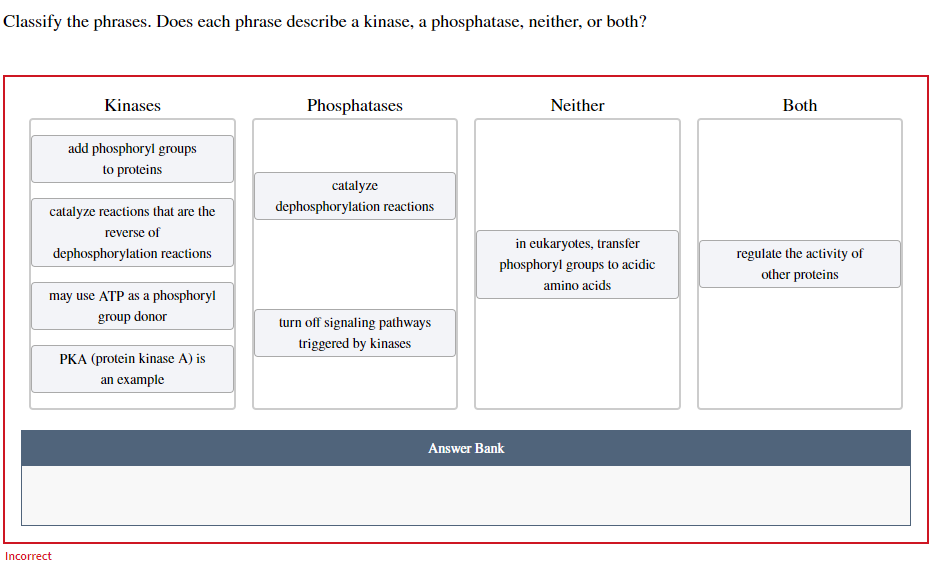Classify the phrases. Does each phrase describe a kinase, a phosphatase, neither, or both?
Kinases
add phosphoryl groups
to proteins
catalyze reactions that are the
reverse of
dephosphorylation reactions
Incorrect
may use ATP as a phosphoryl
group donor
PKA (protein kinase A) is
an example
Phosphatases
catalyze
dephosphorylation reactions
turn off signaling pathways
triggered by kinases
Neither
in eukaryotes, transfer
phosphoryl groups to acidic
amino acids
Answer Bank
Both
regulate the activity of
other proteins