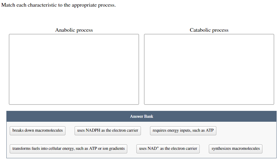 Match each characteristic to the appropriate process.
Anabolic process
breaks down macromolecules
Answer Bank
uses NADPH as the electron carrier
transforms fuels into cellular energy, such as ATP or ion gradients
Catabolic process
requires energy inputs, such as ATP
uses NAD+ as the electron carrier
synthesizes macromolecules
