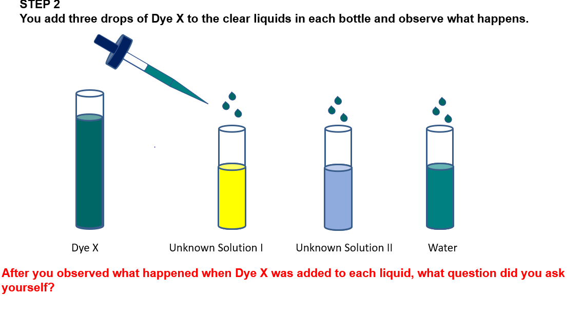 STEP 2
You add three drops of Dye X to the clear liquids in each bottle and observe what happens.
Dye X
Unknown Solution I
After you observed what happened when Dye X was added to each liquid, what question did you ask
yourself?
Unknown Solution II
Water