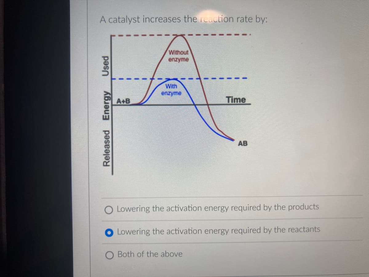 A catalyst increases the reaction rate by:
Without
enzyme
With
enzyme
A+B
Time
AB
O Lowering the activation energy required by the products
Lowering the activation energy required by the reactants
O Both of the above
Released Energy
Used
