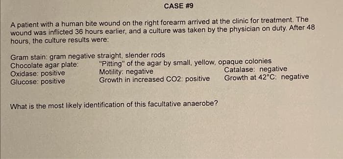 CASE #9
A patient with a human bite wound on the right forearm arrived at the clinic for treatment. The
wound was inflicted 36 hours earlier, and a culture was taken by the physician on duty. After 48
hours, the culture results were:
Gram stain: gram negative straight, slender rods
Chocolate agar plate:
Oxidase: positive
Glucose: positive
"Pitting" of the agar by small, yellow, opaque colonies
Motility: negative
Growth in increased CO2: positive
Catalase: negative
Growth at 42°C: negative
What is the most likely identification of this facultative anaerobe?
