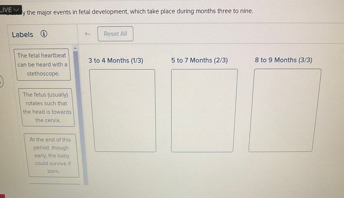 LIVE
ify the major events in fetal development, which take place during months three to nine.
Labels
The fetal heartbeat
can be heard with a
stethoscope.
The fetus (usually)
rotates such that
the head is towards
the cervix.
At the end of this
period, though
early, the baby
could survive if
born.
Reset All
3 to 4 Months (1/3)
5 to 7 Months (2/3)
8 to 9 Months (3/3)