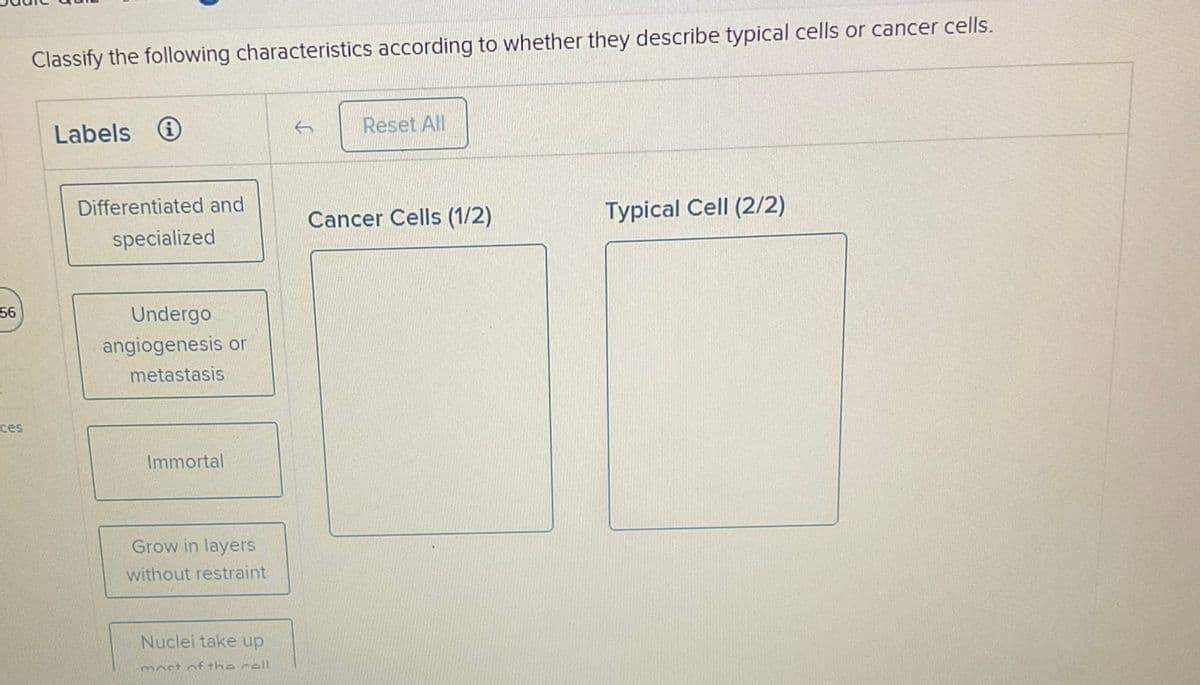 56
ces
Classify the following characteristics according to whether they describe typical cells or cancer cells.
Labels
Differentiated and
specialized
Undergo
angiogenesis or
metastasis
Immortal
Grow in layers
without restraint
Nuclei take up
most of the roll
Reset All
Cancer Cells (1/2)
Typical Cell (2/2)