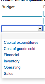 Budget
Capital expenditures
Cost of goods sold
Financial
Inventory
Operating
Sales

