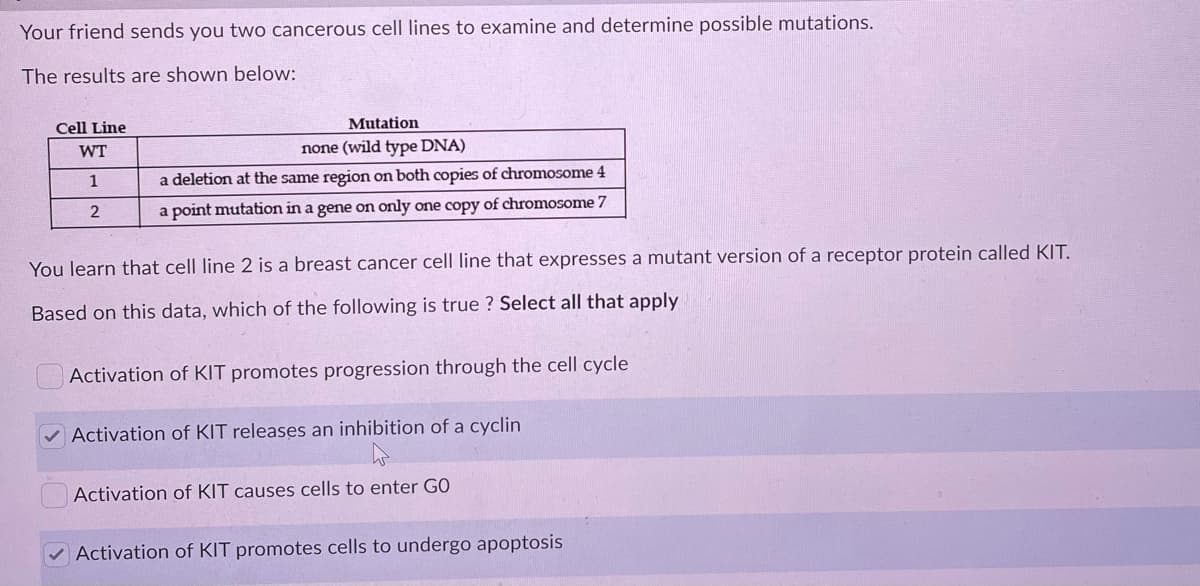 Your friend sends you two cancerous cell lines to examine and determine possible mutations.
The results are shown below:
Cell Line
Mutation
WT
none (wild type DNA)
1
a deletion at the same region on both copies of chromosome 4
2
a point mutation in a gene on only one copy of chromosome 7
You learn that cell line 2 is a breast cancer cell line that expresses a mutant version of a receptor protein called KIT.
Based on this data, which of the following is true ? Select all that apply
Activation of KIT promotes progression through the cell cycle
Activation of KIT releases an inhibition of a cyclin
Activation of KIT causes cells to enter GO
Activation of KIT promotes cells to undergo apoptosis
