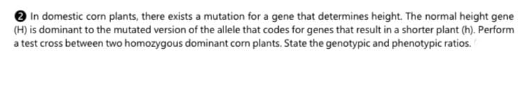 e In domestic corn plants, there exists a mutation for a gene that determines height. The normal height gene
(H) is dominant to the mutated version of the allele that codes for genes that result in a shorter plant (h). Perform
a test cross between two homozygous dominant corn plants. State the genotypic and phenotypic ratios.
