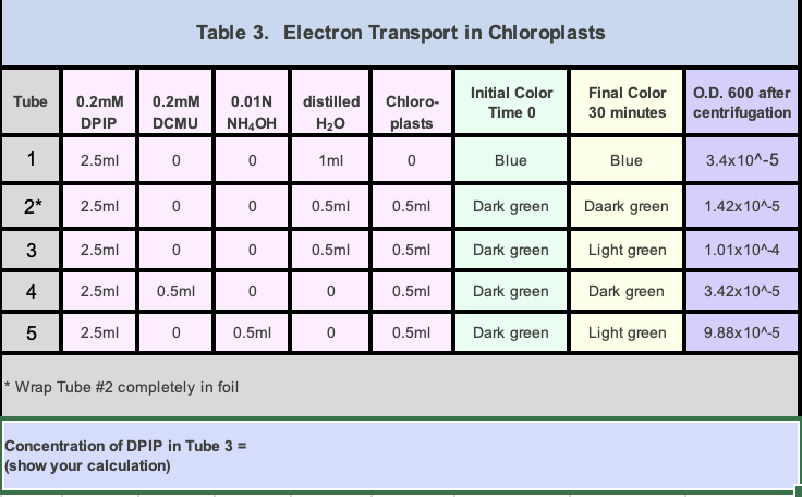 Tube 0.2mM 0.2mM 0.01N distilled Chloro-
DPIP
DCMU NHẠCH
H₂O
plasts
2.5ml
0
1
2*
3
4
5
2.5ml
2.5ml
2.5ml
2.5ml
0
0
0
0.5ml
Table 3. Electron Transport in Chloroplasts
0
*Wrap Tube #2 completely in foil
0
Concentration of DPIP in Tube 3 =
(show your calculation)
0
0
0.5ml
0
1ml
0.5ml
0.5ml
0
0
0.5ml
0.5ml
0.5ml
0.5ml
Initial Color
Time 0
Blue
Dark green
Dark green
Dark green
Dark green
Final Color
30 minutes
Blue
Daark green
Light green
Dark green
Light green
O.D. 600 after
centrifugation
3.4x10^-5
1.42x10^-5
1.01x10^-4
3.42x10^-5
9.88x10^-5