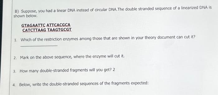 B) Suppose, you had a linear DNA instead of circular DNA. The double stranded sequence of a linearized DNA is
shown below.
GTAGAATTC ATTCACGCA
CATCTTAAG TAAGTGCGT
1. Which of the restriction enzymes among those that are shown in your theory document can cut it?
2. Mark on the above sequence, where the enzyme will cut it.
3. How many double-stranded fragments will you get? 2
4. Below, write the double-stranded sequences of the fragments expected: