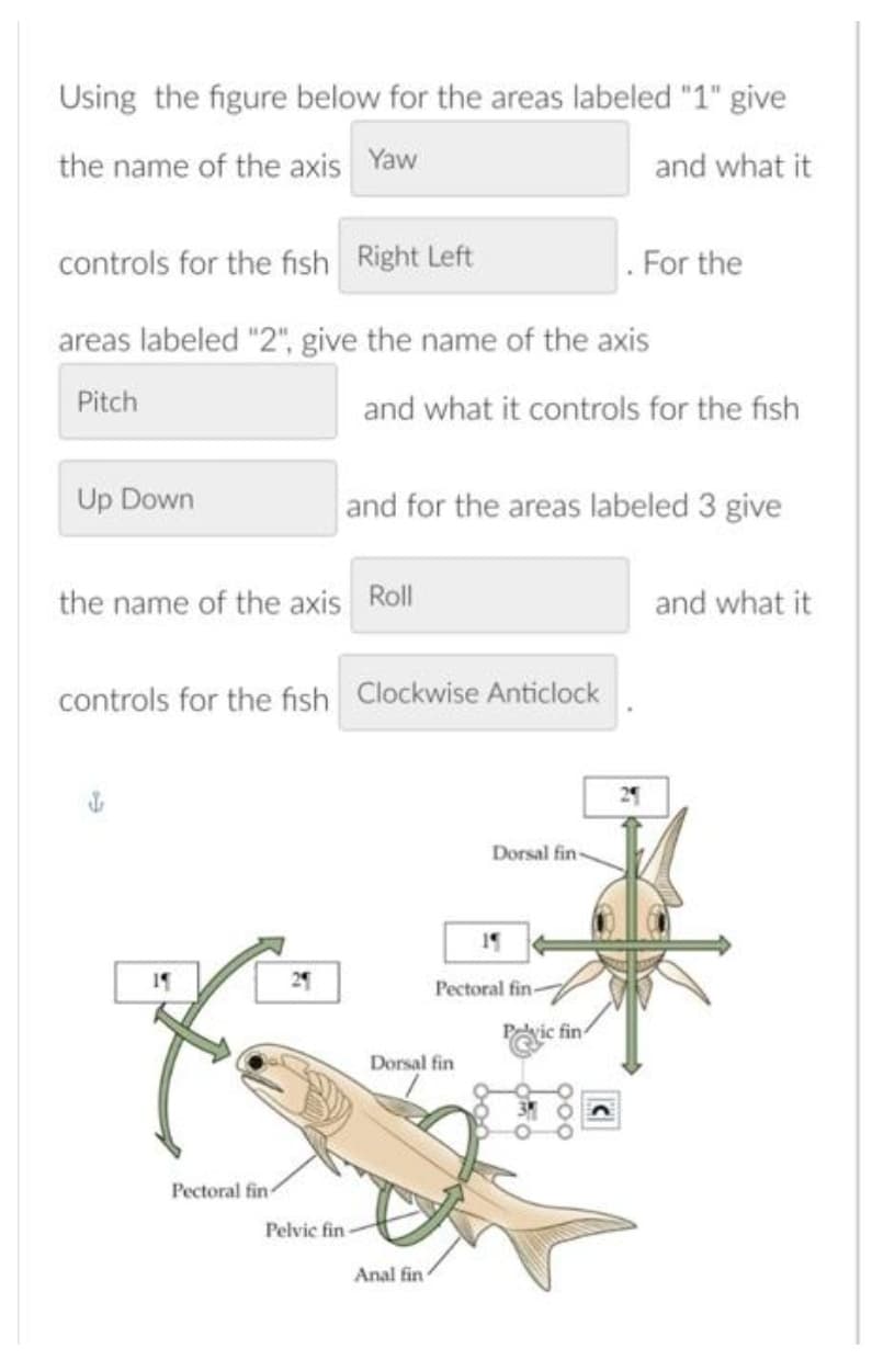 Using the figure below for the areas labeled "1" give
the name of the axis Yaw
and what it
controls for the fish Right Left
areas labeled "2", give the name of the axis
Pitch
Up Down
the name of the axis Roll
Pectoral fin
controls for the fish Clockwise Anticlock
21
and what it controls for the fish
and for the areas labeled 3 give
Pelvic fin-
Dorsal fin
Anal fin
Dorsal fin-
19
Pectoral fin-
. For the
Pelvic fin
and what it