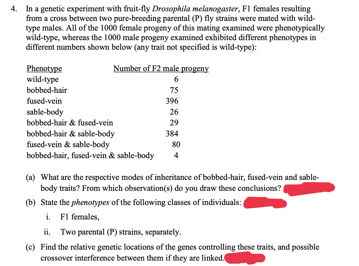 4.
In a genetic experiment with fruit-fly Drosophila melanogaster, F1 females resulting
from a cross between two pure-breeding parental (P) fly strains were mated with wild-
type males. All of the 1000 female progeny of this mating examined were phenotypically
wild-type, whereas the 1000 male progeny examined exhibited different phenotypes in
different numbers shown below (any trait not specified is wild-type):
Number of F2 male progeny
6
75
396
26
29
384
Phenotype
wild-type
bobbed-hair
fused-vein
sable-body
bobbed-hair & fused-vein
bobbed-hair & sable-body
fused-vein & sable-body
80
bobbed-hair, fused-vein & sable-body 4
(a) What are the respective modes of inheritance of bobbed-hair, fused-vein and sable-
body traits? From which observation(s) do you draw these conclusions?
(b) State the phenotypes of the following classes of individuals:
i.
F1 females,
ii. Two parental (P) strains, separately.
(c) Find the relative genetic locations of the genes controlling these traits, and possible
crossover interference between them if they are linked.
