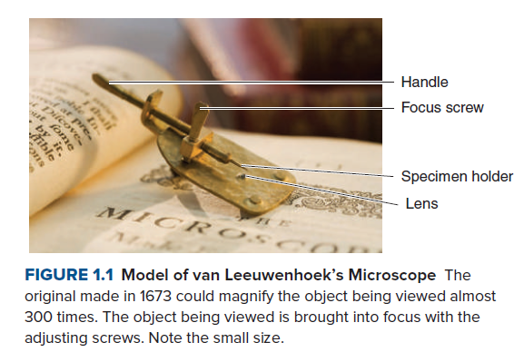wwwat pre.
Handle
Focus screw
le In
Dilcove
Specimen holder
Lens
MICR 0S
FIGURE 1.1 Model of van Leeuwenhoek's Microscope The
original made in 1673 could magnify the object being viewed almost
300 times. The object being viewed is brought into focus with the
adjusting screws. Note the small size.
hali
by it,
Aible
