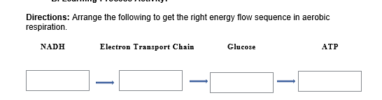 Directions: Arrange the following to get the right energy flow sequence in aerobic
respiration.
NADH
Electron Transport Chain
Glucose
ATP
